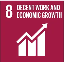 SDG 8
